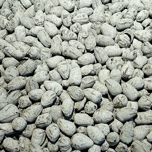 Krokodiltårar salta 200gr Kalasgodis