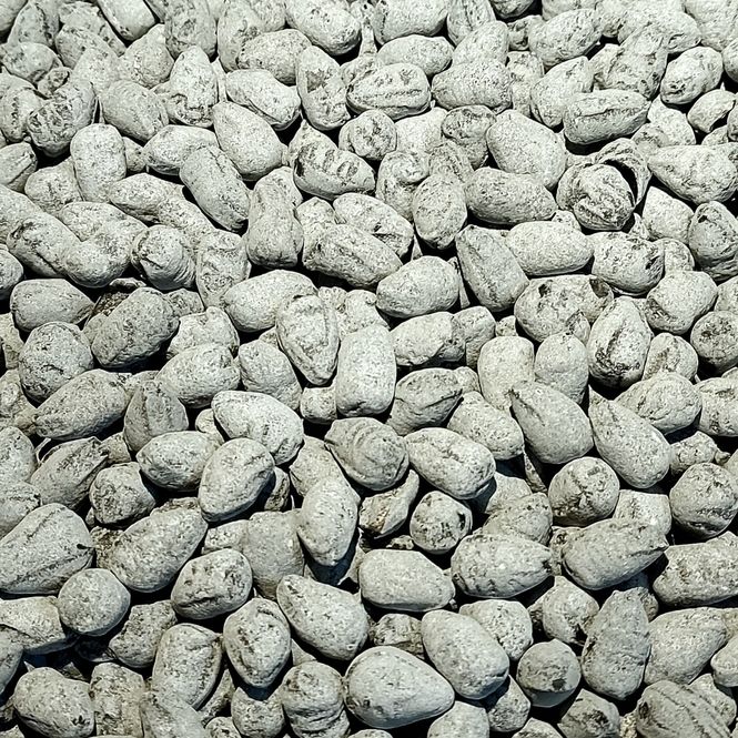Huvudbild Krokodiltårar salta 200gr Kalasgodis